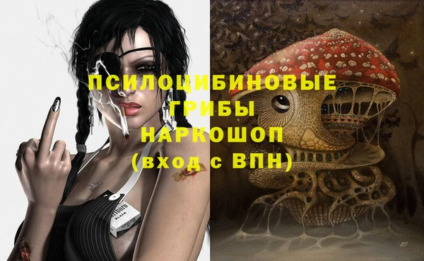 мет Инта