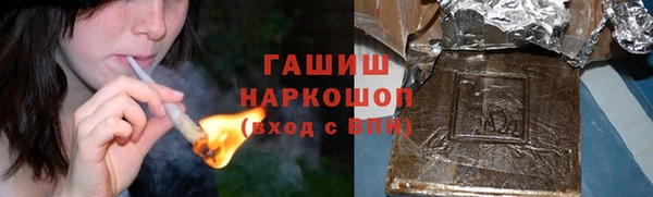 мет Инта