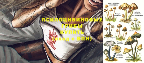 мет Инта
