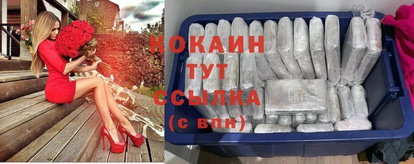 мет Инта