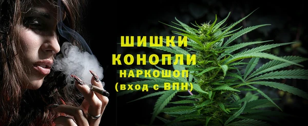 мет Инта