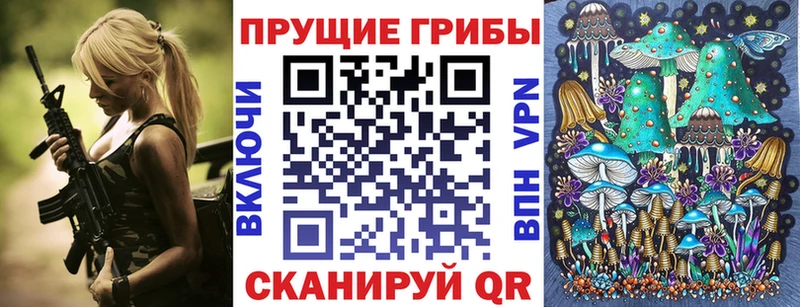 Псилоцибиновые грибы GOLDEN TEACHER  Купить где  Облучье 